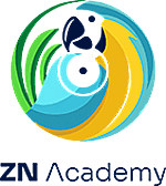 ZN Academy